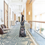 Ngarko imazhin në shikuesin e Galerisë, Pastrues Tapicerie Profesional Viper CEX410 50000546